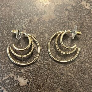 Elegant Gold Hoop Earrings